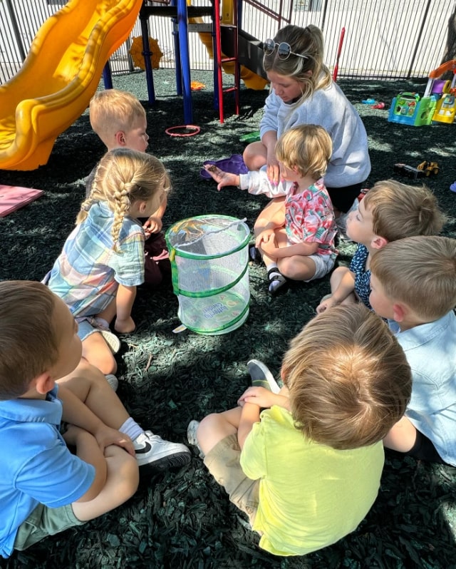 teacher showing students a butterfly